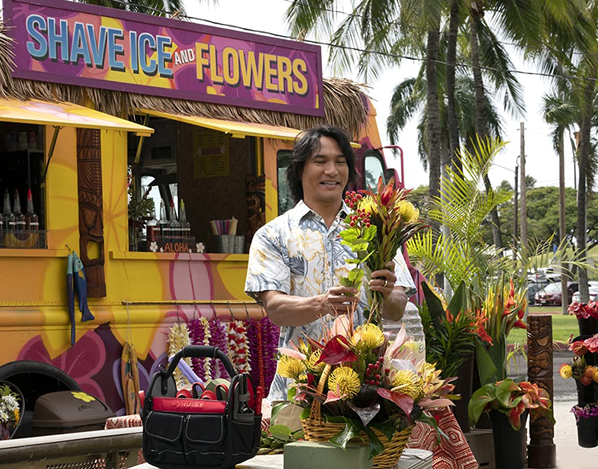 Doogie Kamealoha, M.D.